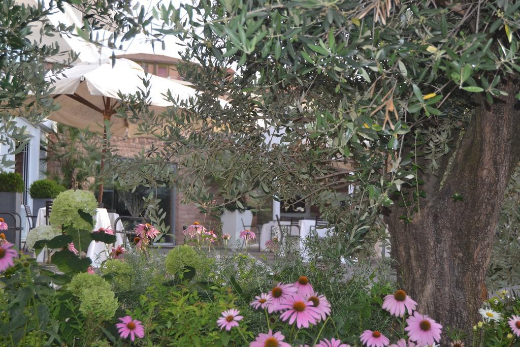 Albergo La Pace Segni Exterior photo